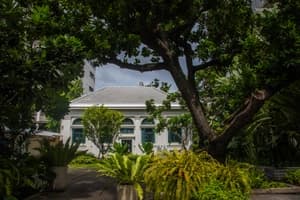 Neilson Hays Library Exterior